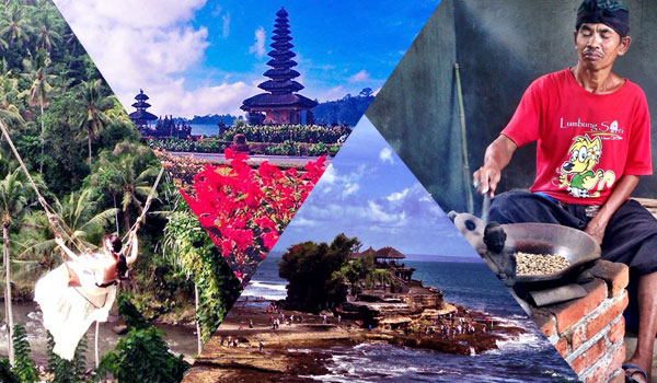 Bali Swing - Bratan Temple - Coffee Plantation - Tanah Lot Temple