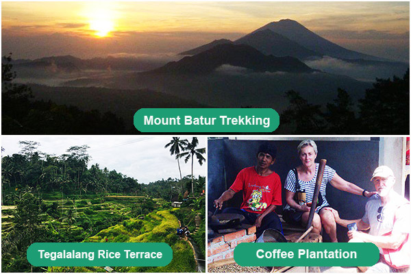 Mount Batur Trekking, Tegalalang Rice Terrace, And Coffee Plantation